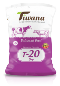 Tiwana T-20 Dry