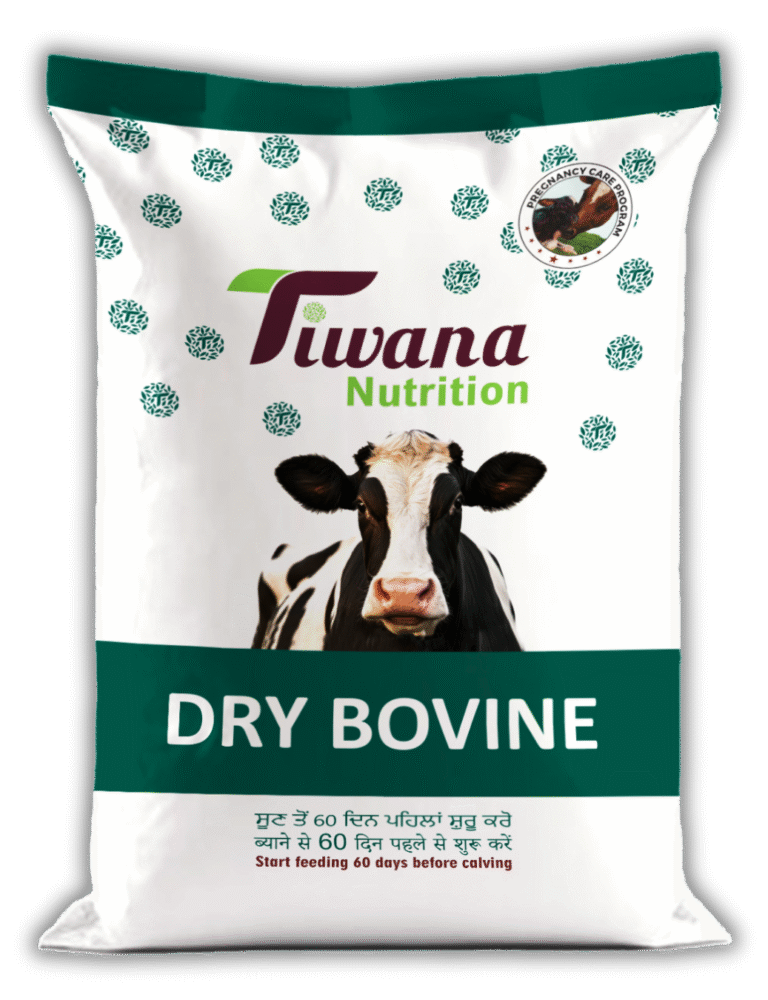 BAG Tiwana All Artwork 50 KG ok