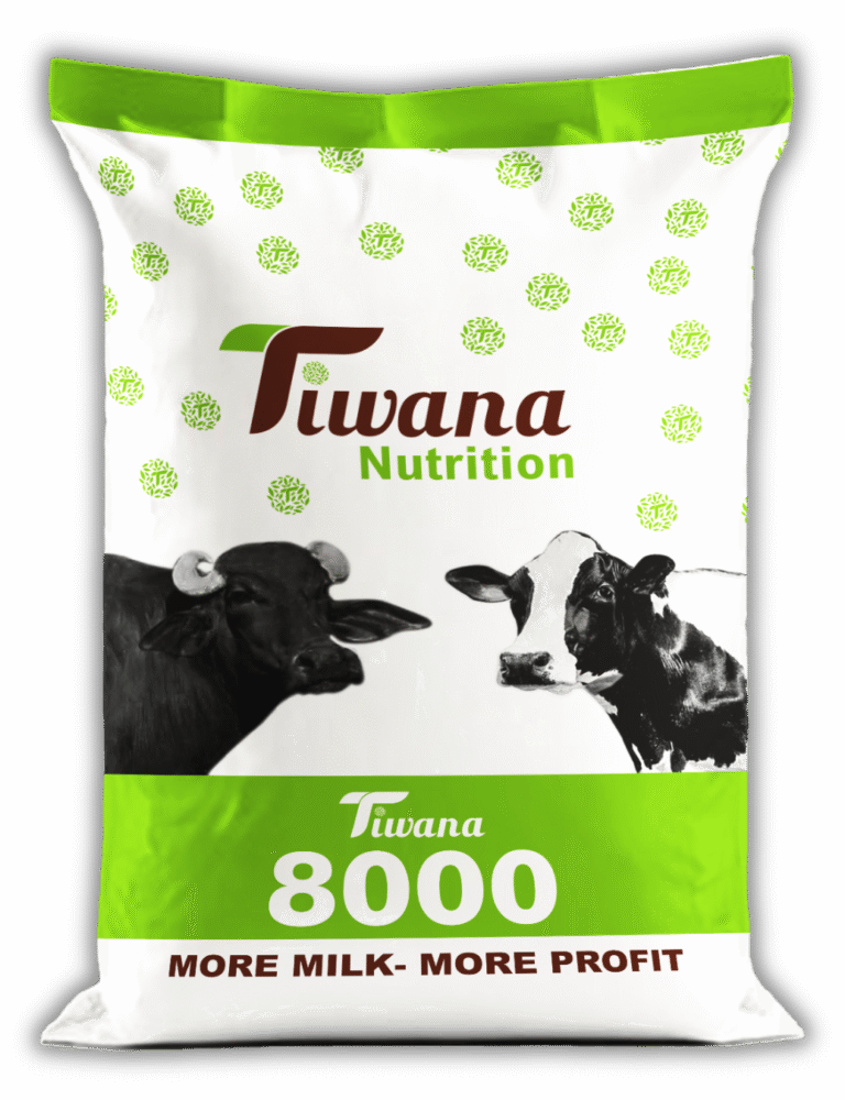 BAG Tiwana All Artwork 50 KG ok