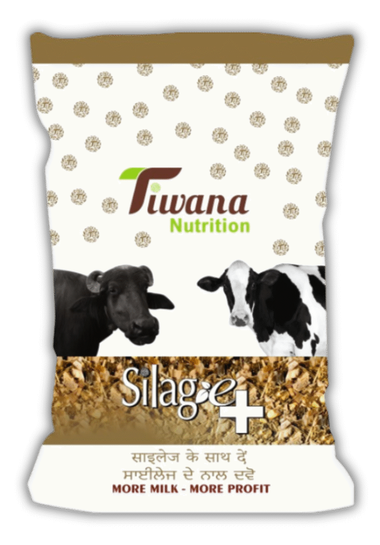 Tiwana Silage Plus