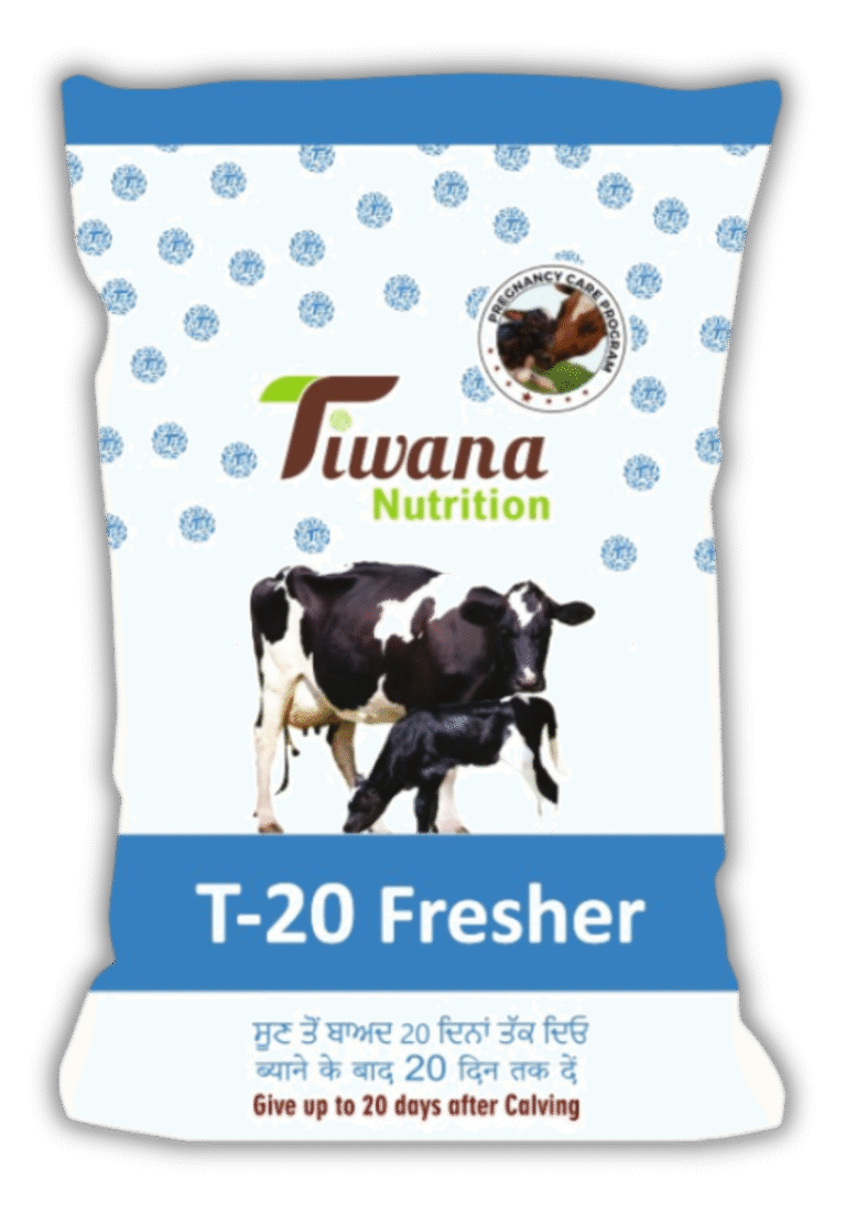 T-20 Fresher Shadow