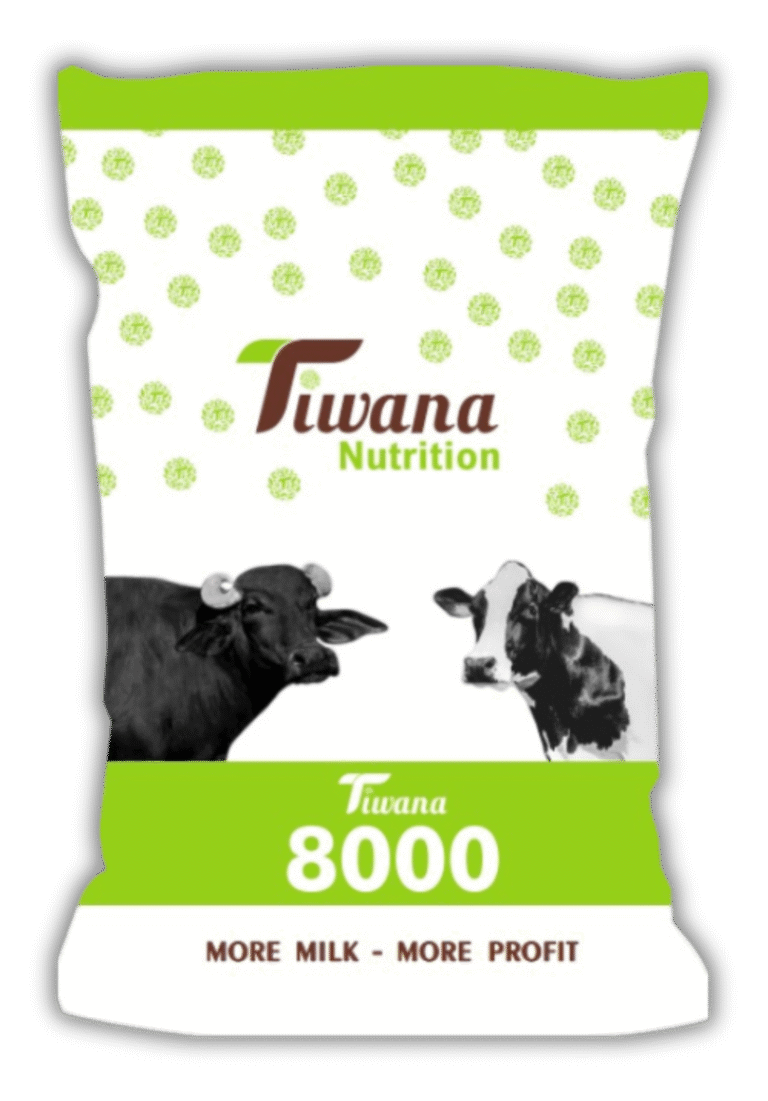 Tiwana 8000 Shadow