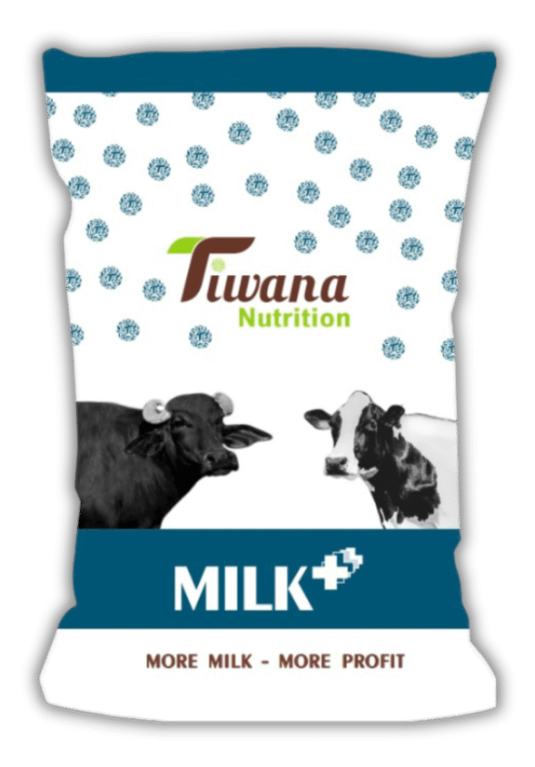 Tiwana Milk Plus
