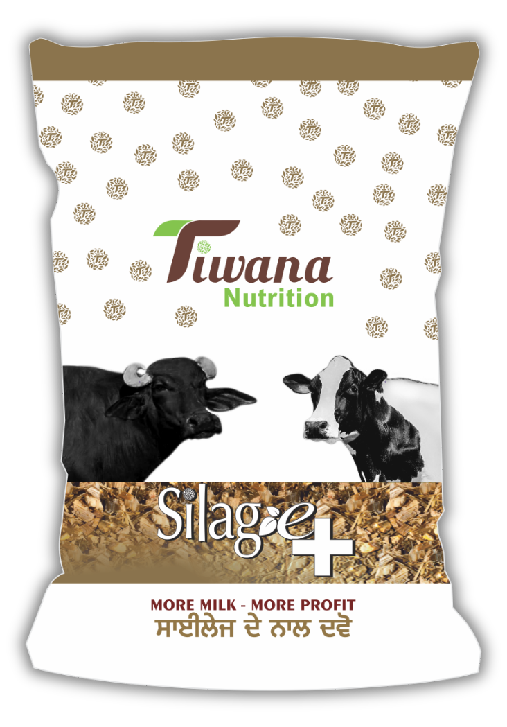 Tiwana Silage+