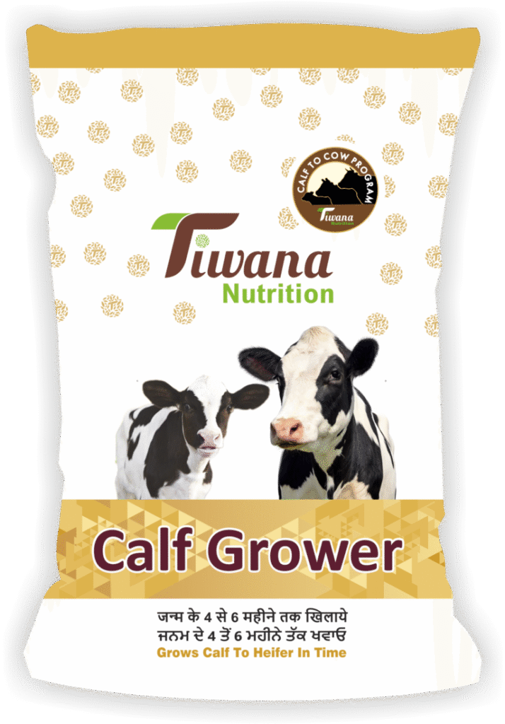 Calf Grower Feed