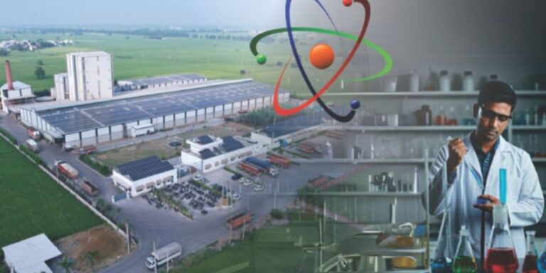 cattle feed in India