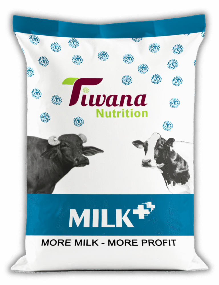 BAG Tiwana All Artwork 50 KG ok