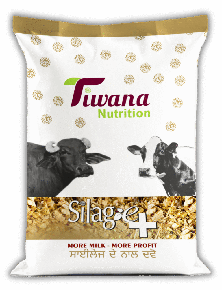 BAG Tiwana All Artwork 50 KG ok