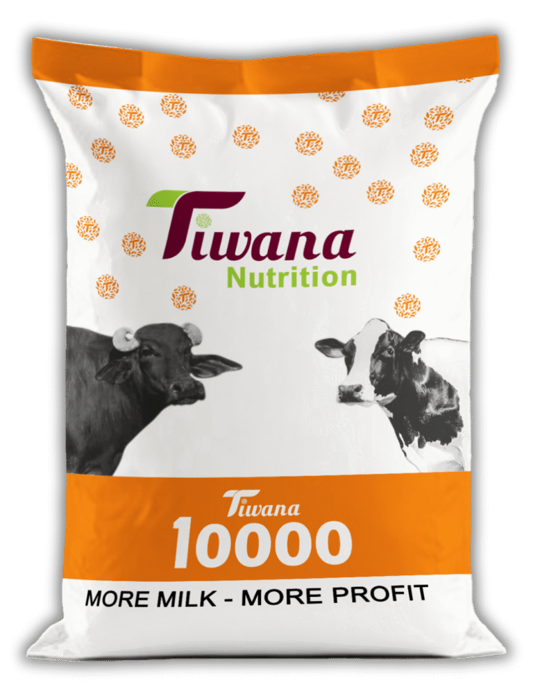 BAG Tiwana All Artwork 50 KG ok