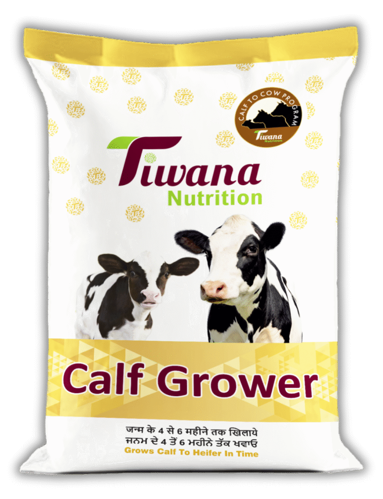 BAG Tiwana All Artwork 50 KG ok