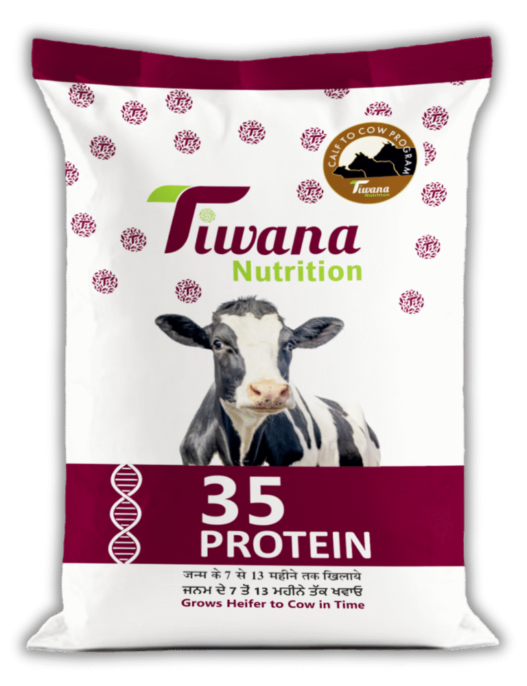 BAG Tiwana All Artwork 50 KG ok