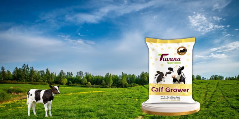 calf grower feed