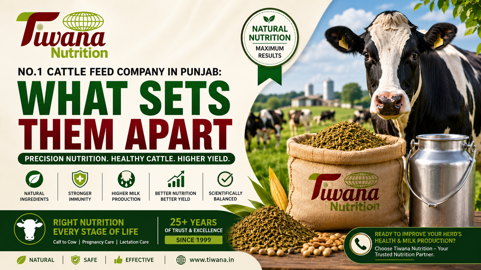 cattle feed companies in Punjab